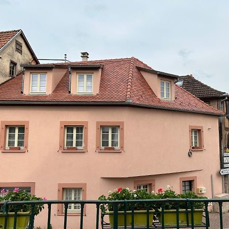 Gite Ma Maison Kintzheim Εξωτερικό φωτογραφία