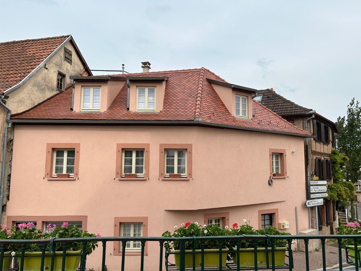 Gite Ma Maison Kintzheim Εξωτερικό φωτογραφία